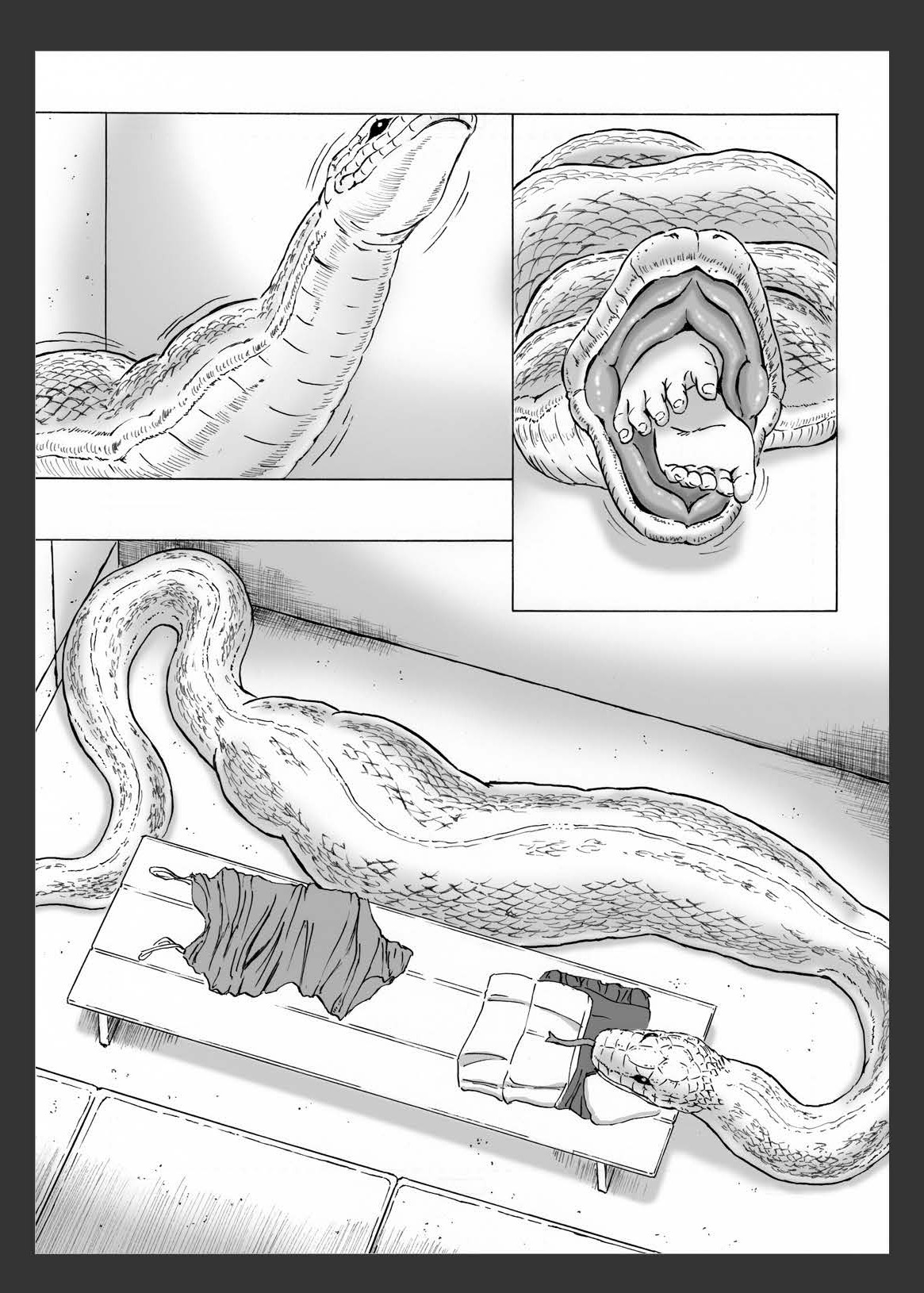 Onago no Ikie | Carnada viva  =Vile= page 9 full