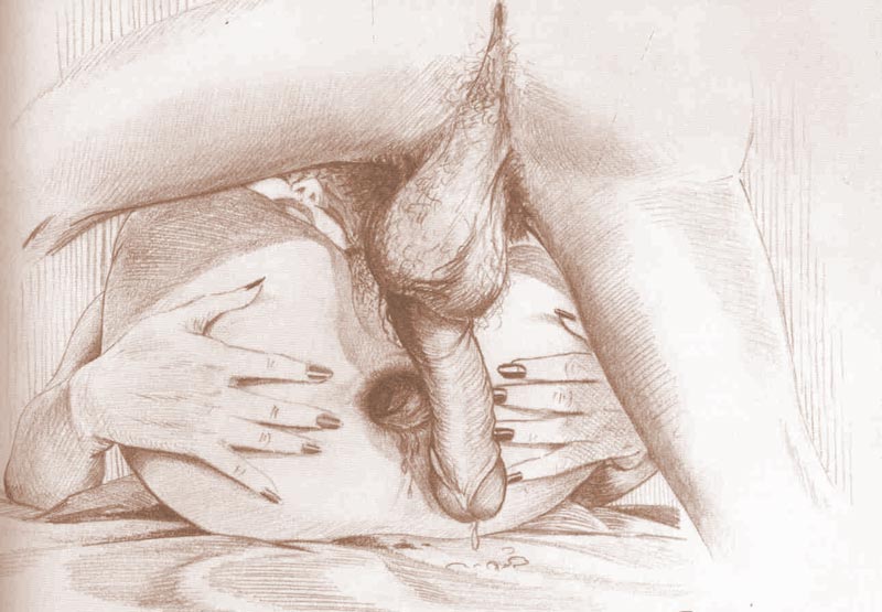 Anal Drawings page 9 full