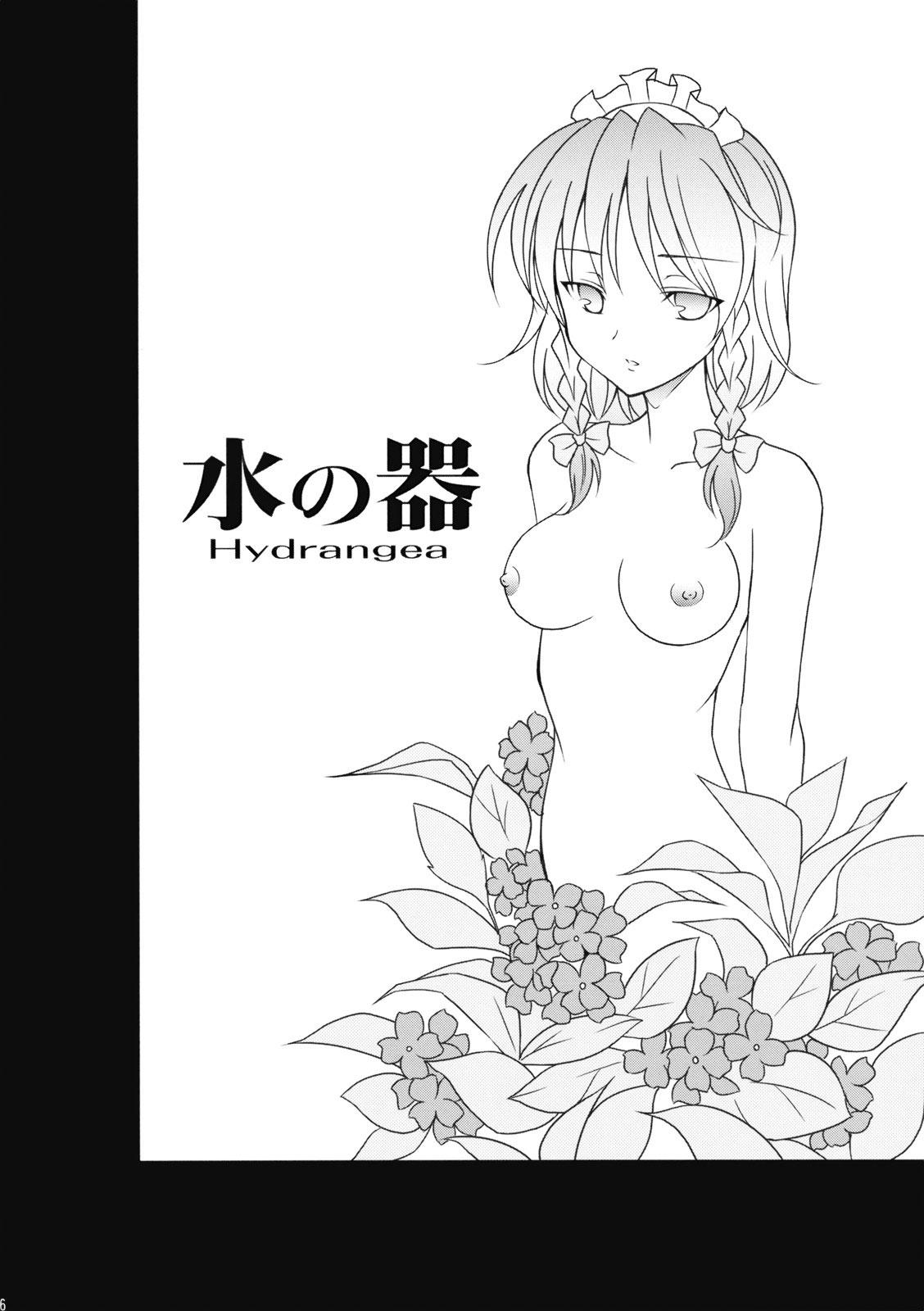 Mizu no Utsuwa - Hydrangea page 5 full
