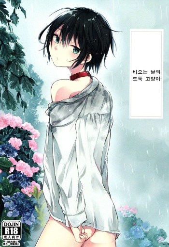 (COMITIA117) [Aoiro Ichiza (Aoiro Ichigou)] Nora Neko to Rainy Days [Korean] cover