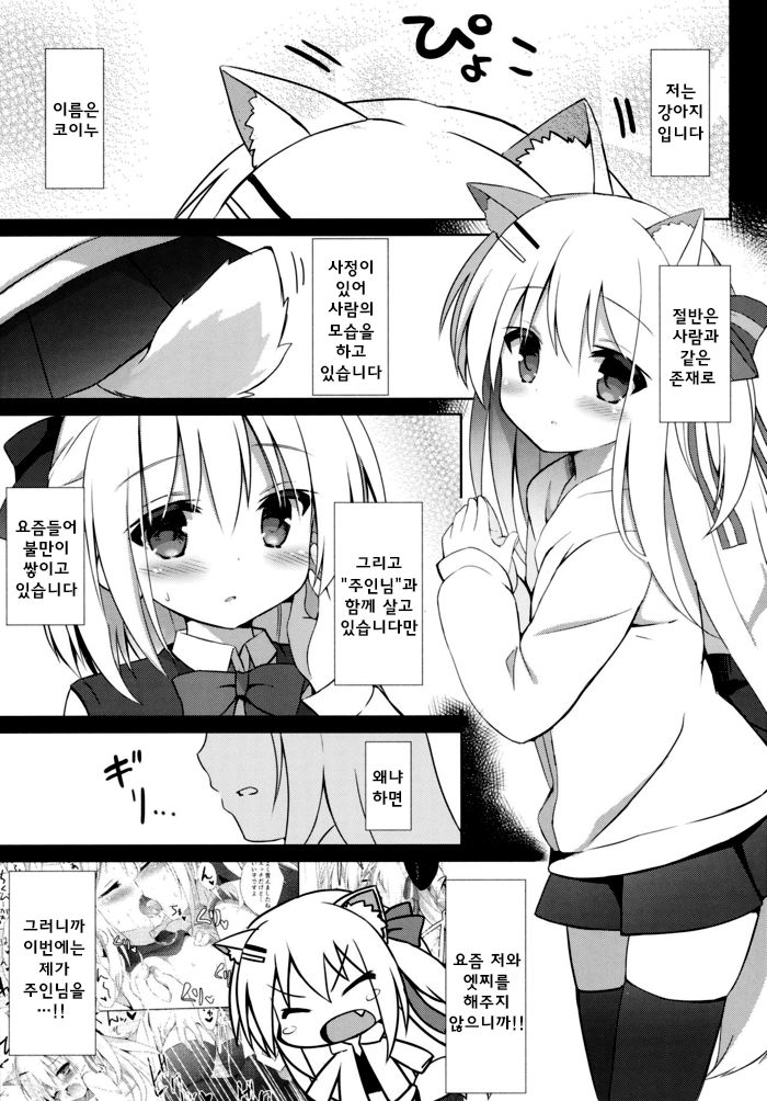 Goshujin-sama to Koinu no Midareta Seikatsu 2-kame | 주인님과 낭자아이 코이누 문란한 생활 page 2 full