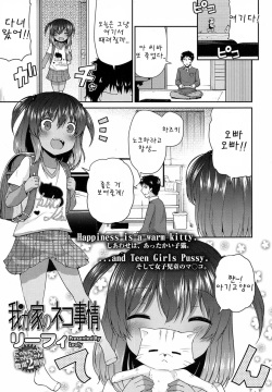 Waga Uchi no Neko Jijou