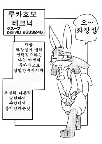 [Kesupu] Luca Homo Technique | 루카호모 테크닉 (Pokémon) [Korean] [호접몽] cover