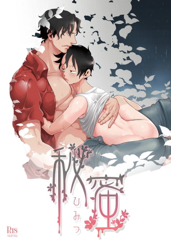 (SUPER23) [S+y (Yumiya)] Himitsu | Secret (One Piece) [English] cover