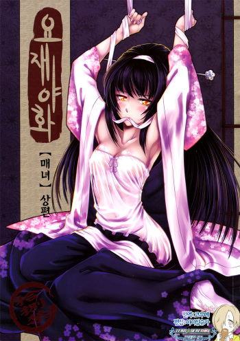 [San Se Fang (Heiqing Langjun)] mei girl - Night Stories 2 (koran) (팀☆데레마스) cover