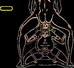 Meet & Fuck Games Mega collection