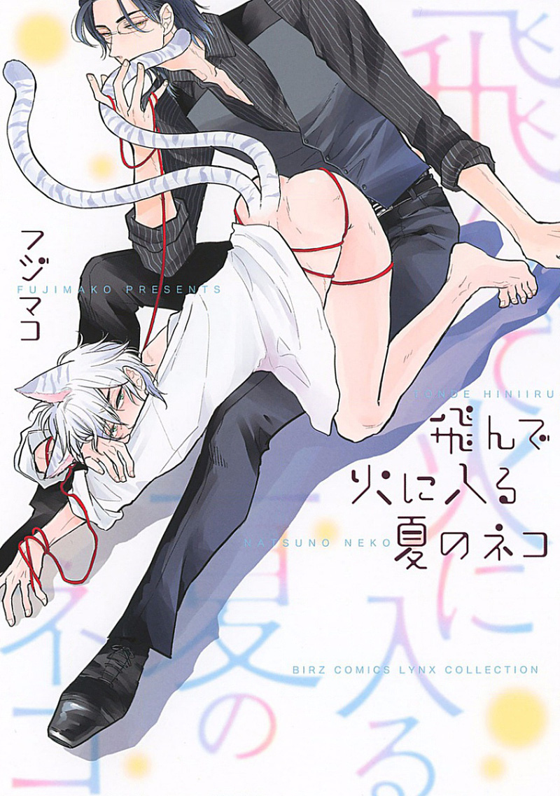 Tonde Hi Ni Iru Natsu No Neko Ch.1 page 3 full