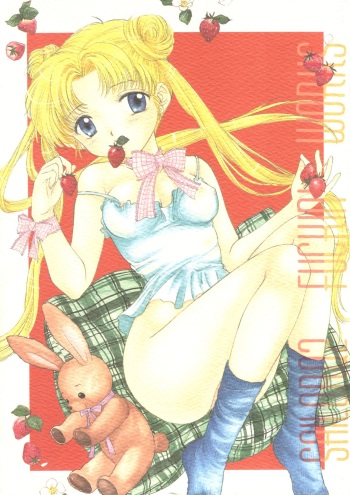 (C51) [Sailor Q2 (Ryö)] SFW Sailor Q2 Fuckin' Works (Bishoujo Senshi Sailor Moon) cover