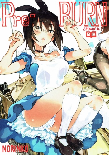 (Panzer Vor! 11) [Norinko] Pre-BURN (Girls und Panzer) cover