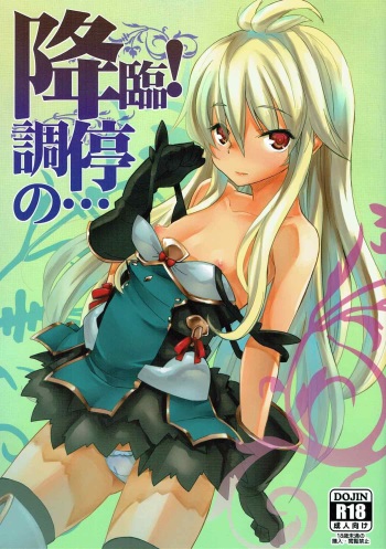 (C91) [Miyanchi (Miyagoe Yoshitsuki)] Kourin! Choutei no... (Granblue Fantasy) cover