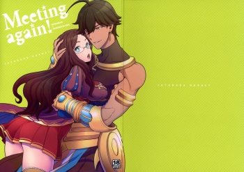 (C92) [Sayonara Hornet (Yoshiragi)] Meeting again! (Fate/Grand Order) cover