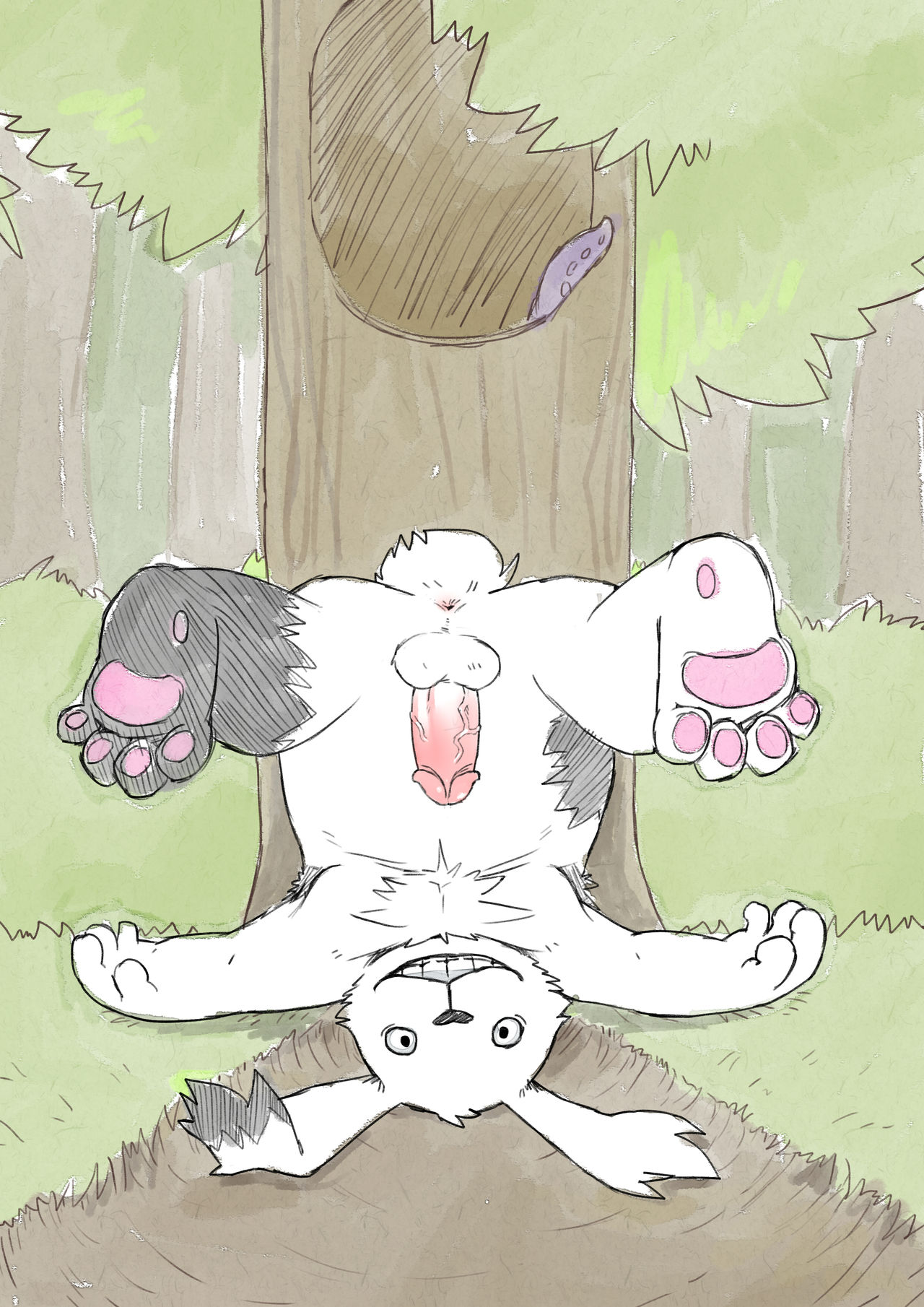 USAVCH page 2 full