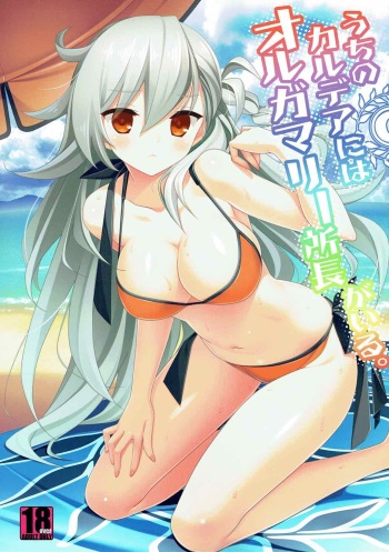 (C92) [BERRY BAGEL (Kanekiyo Miwa)] Uchi no Chaldea ni wa Olga Marie Shochou ga Iru. (Fate/Grand Order) cover