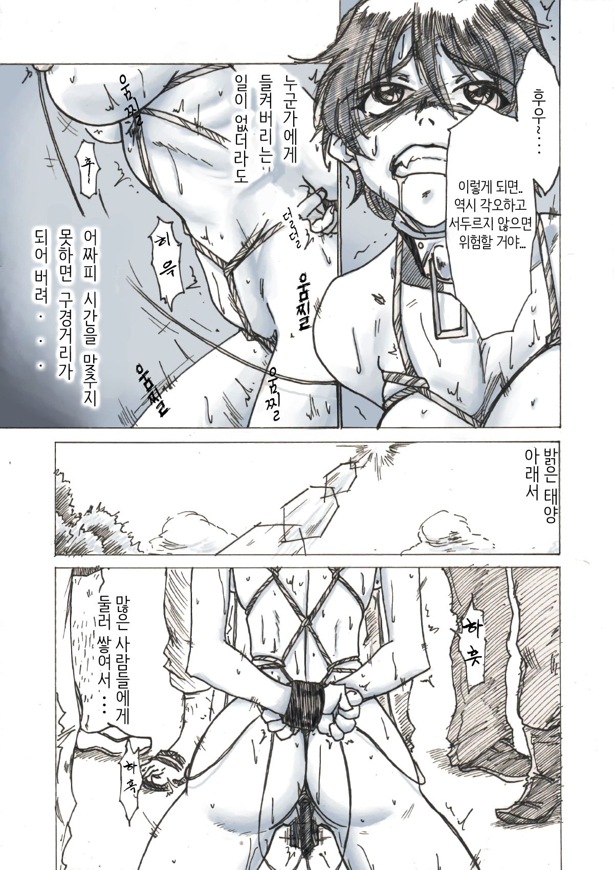 Roshutsu Hime no Senjou-teki Dokuhaku | 노출공주의 선정적 독백 page 12 full