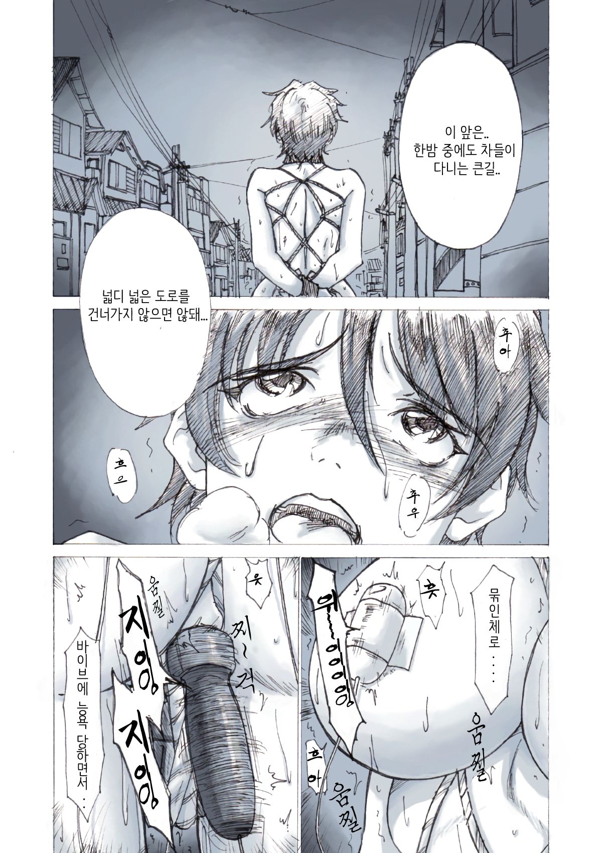 Roshutsu Hime no Senjou-teki Dokuhaku | 노출공주의 선정적 독백 page 4 full