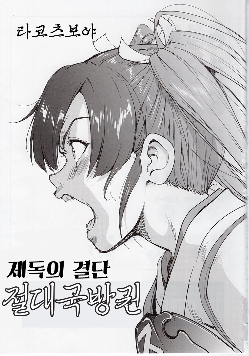 Teitoku no Ketsudan Zettai Kokubouken | 제독의 결단 절대국방권 page 2 full