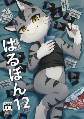 (Kansai! Kemoket 6) [Harugoya (Harusuke)] Harubon 12 [English] [Sanmer] cover