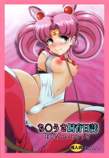 (SC2017 Summer) [Otokojuku (Nanashi Noizi)] Chibiusa Shiiku Nisshi (Bishoujo Senshi Sailor Moon) cover