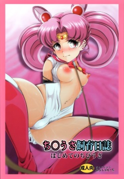 Chibiusa Shiiku Nisshi