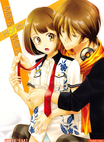 (Love ♥ Collection 2016 in Summer) [Xyzyroh, Enishing (Sanase Nasa, Enishi Nasa)] Many Many Honey (Scared Rider Xechs) [English] [biribiri] cover
