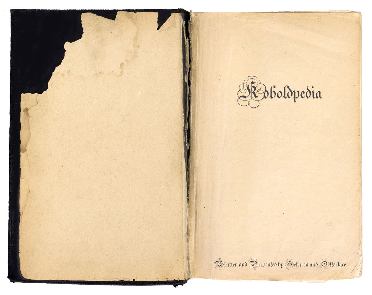 Koboldpedia page 1 full
