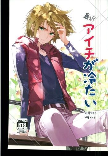 (Stand Up! 12) [Harinezumi Gohan (Akiru)] Saikin Aichi ga Tsumetai (Cardfight!! Vanguard) cover