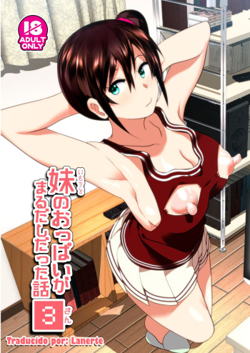 [Supe (Nakani)] Imouto no Oppai ga Marudashi Datta Hanashi 3 [Spanish] [Lanerte] [Decensored] [Digital] cover