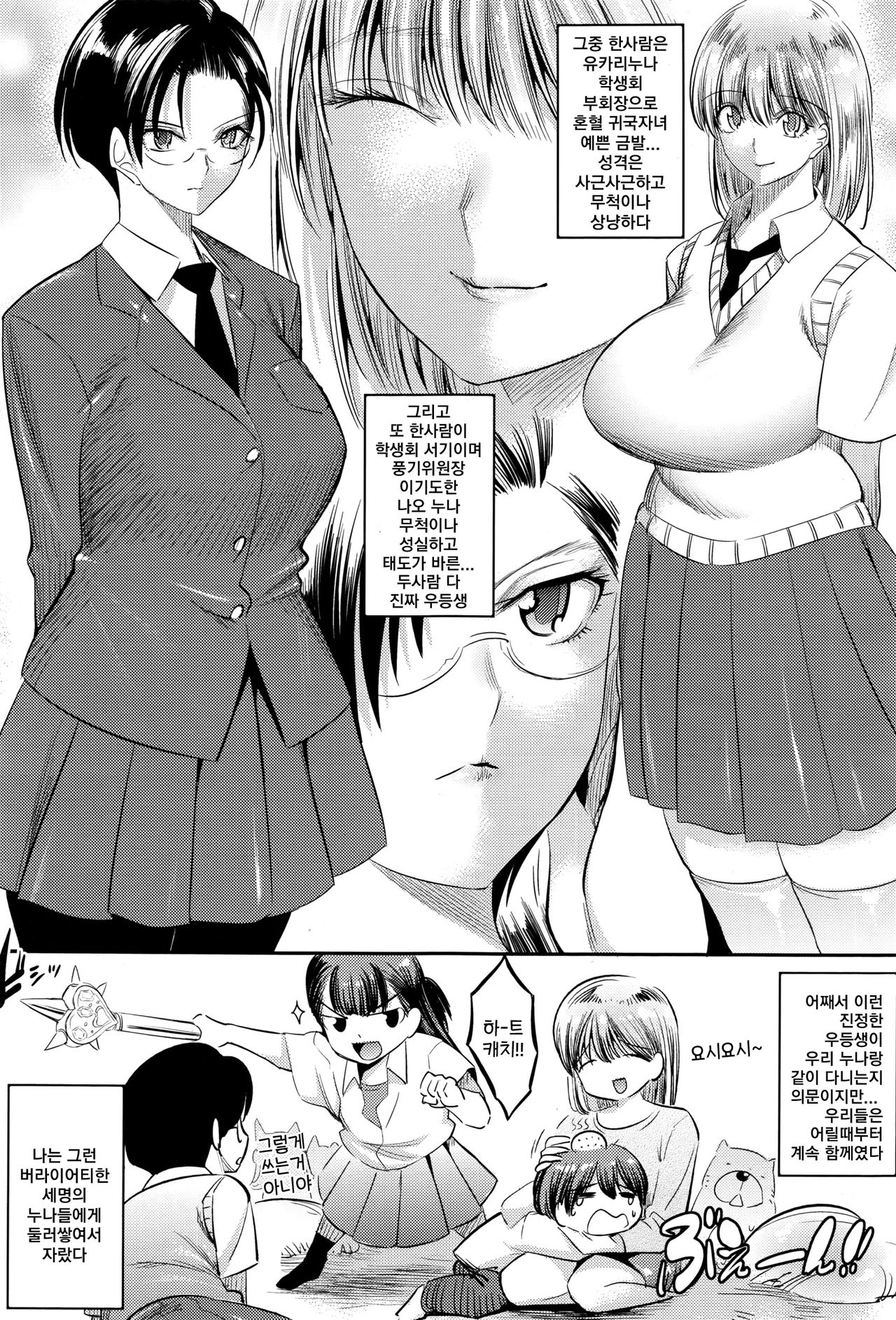 Hontou wa H na Onee-chan no Tomodachi | 사실은 야한 누나의 친구들 page 4 full