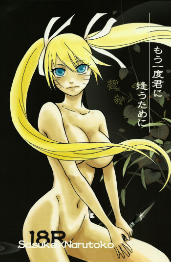 (C76) [Rensougyo (Tachibana Satsuki)] Mou Ichido Kimi ni Au tame ni (NARUTO) [Spanish] cover