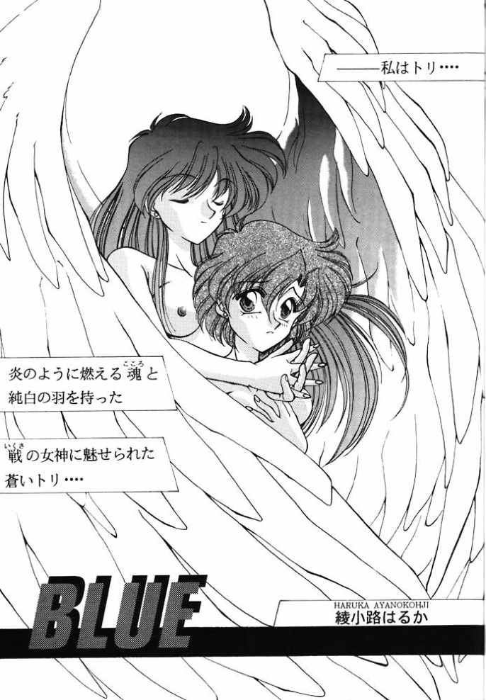 ROSE WATER 2 ROSE ROUGE page 8 full