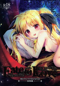 -Mahou Shoujo Lyrical Nanoha Soushuuhen- Fate to Love