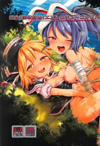 (C92) [Unmei no Ikasumi (Harusame)] Kougou "Estro Tuning" (Touhou Project) cover
