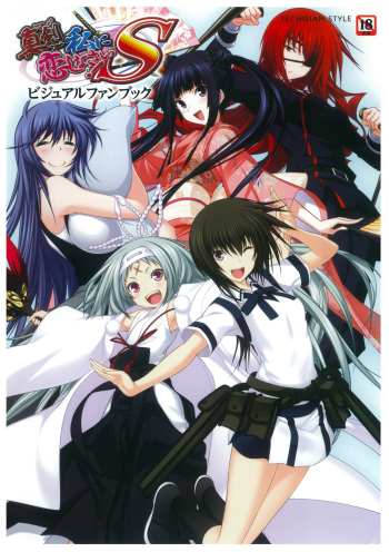 Maji de watashi ni Koi Shinasai S Visual Fanbook cover