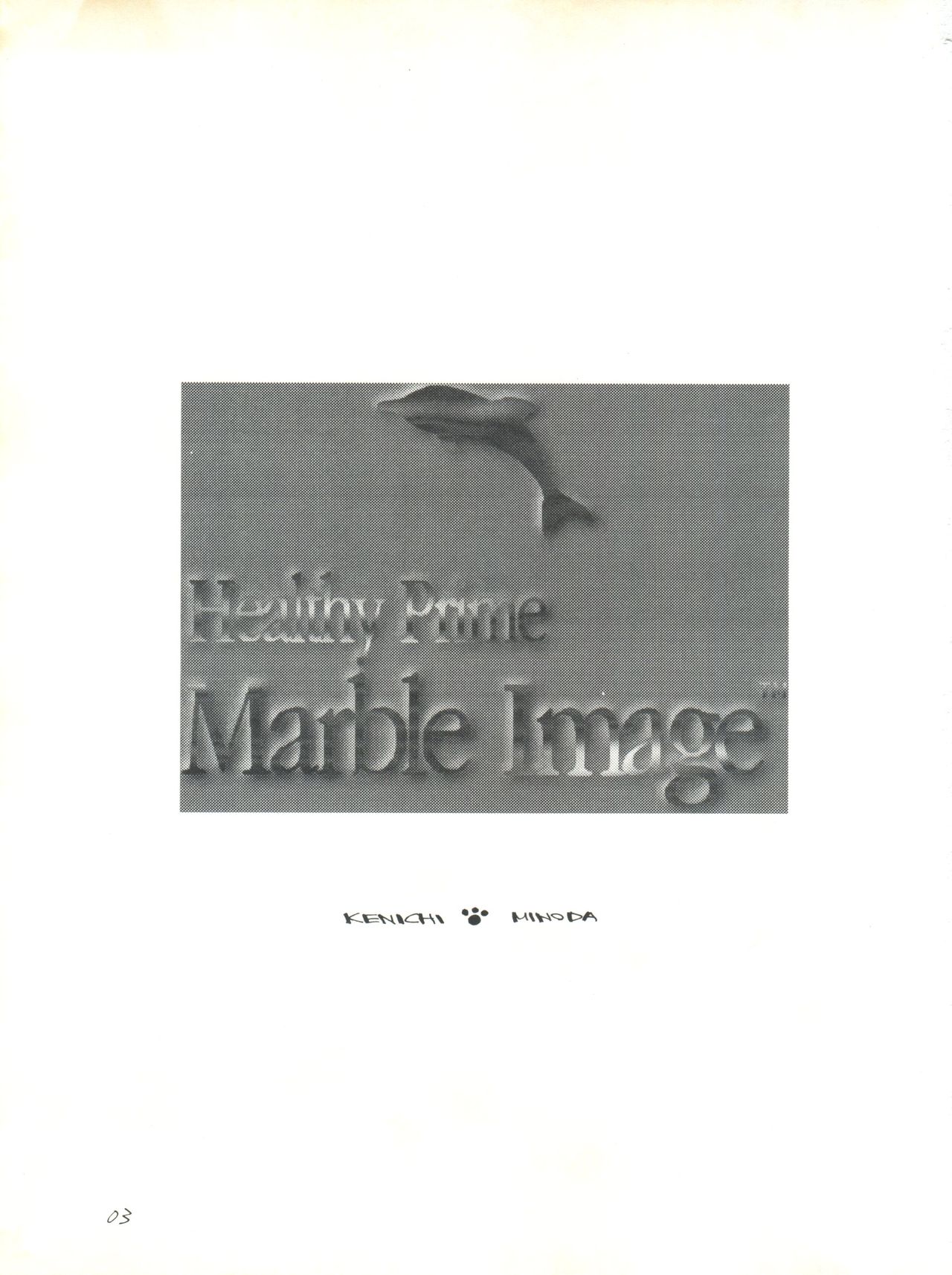Healthy Prime Marble Image page 2 full