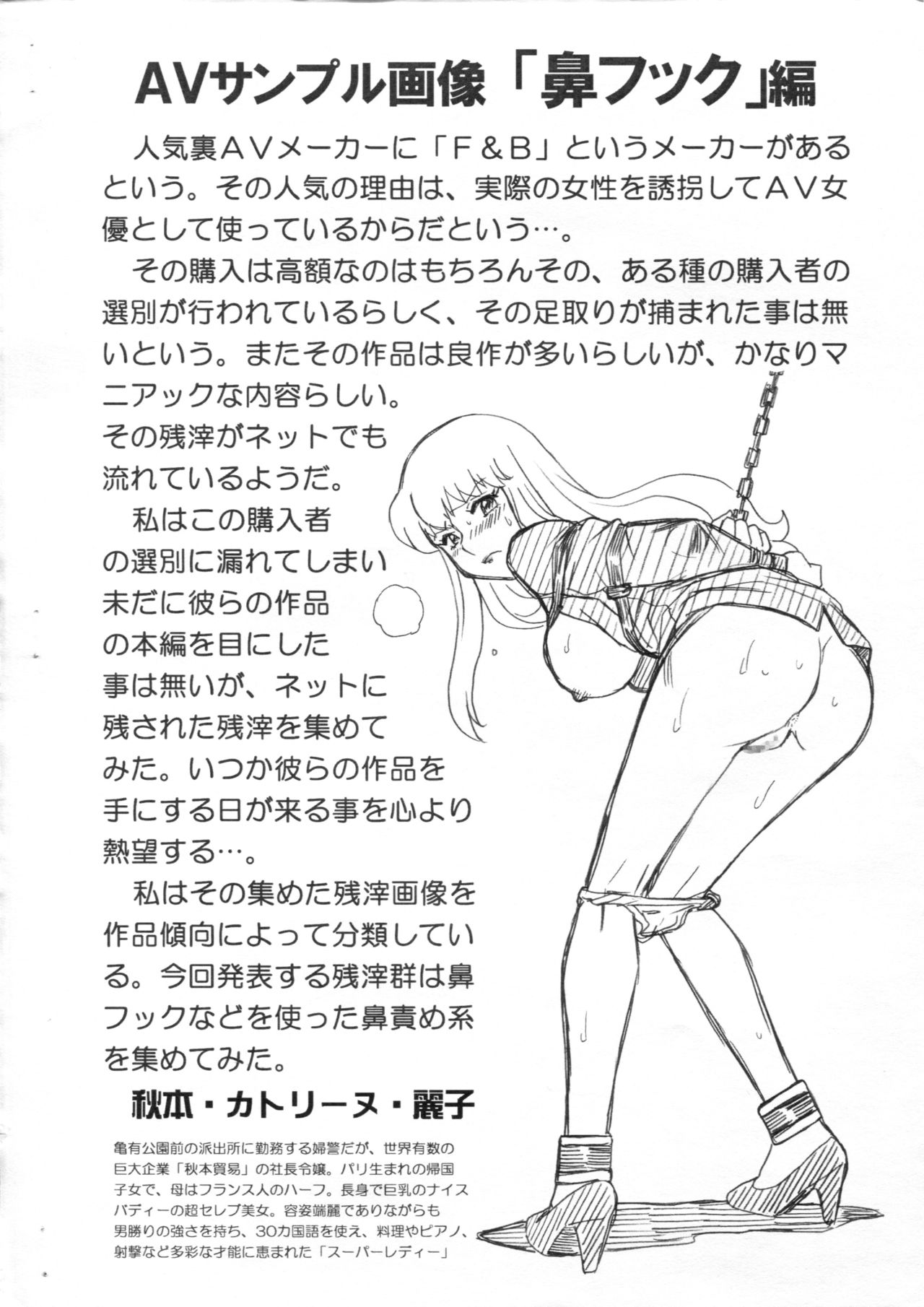 F&B AV Sample File Akimoto Katherine Reiko Gazoushuu page 2 full