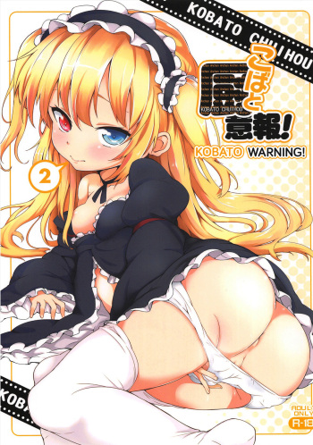(C81) [Yasudanchi (YASUDA)] Kobato Chuihou! Ni | Kobato Warning! 2 (Boku wa Tomodachi ga Sukunai) [English] [Rin] cover