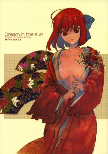 [Aihara Otome (Yamada Nyoriko)] Dream in the sun (Tsukihime) [English] [lHenTie] cover