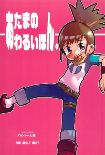 (SUPER11) [Bronco Hitoritabi (Various)] Atama no Warui Hon. (Digimon Tamers) cover
