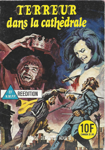 Elvifrance - Série jaune - 022 - Terreur dans la cathédrale cover