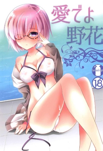 (COMIC1☆11) [brand nyu (nyu)] Medeyo Nobana (Fate/Grand Order) cover
