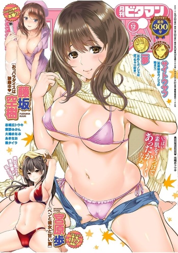Monthly Vitaman 2017-12 [Digital] cover