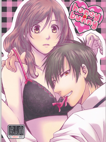 (C91) [AIRMUSICA (Jimo)] honey bunny (B-PROJECT) cover