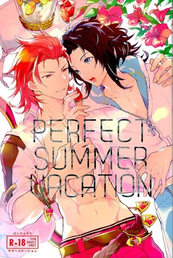 (GOOD COMIC CITY 23) [SilverRice (Sumeshi)] Perfect Summer Vacation (Granblue Fantasy) cover