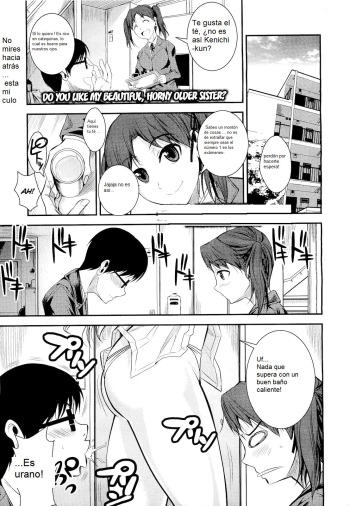 [Fuetakishi] Kirei de Yarashii Oneesan wa, Suki Desuka? | Do You Like My Beautiful, Horny Older Sister? (COMIC Megastore 2011-05) [Spanish] cover