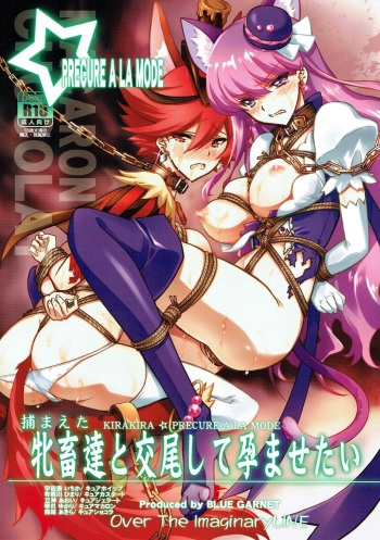 (C92) [Blue Garnet (Serizawa Katsumi)] Tsukamaeta Mechiku Tachi to Koubi Shite Haramasetai (Kirakira PreCure a la Mode) cover