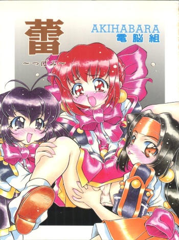 (C54) [Hime Club (Kirikaze)] Tsubomi (Cyber Team in Akihabara) cover