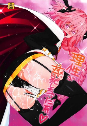 (C92) [Sanazura Doujinshi Hakkoujo (Sanazura Hiroyuki)] Risei ga Jouhatsu Shichatta Kei (Fate/Apocrypha) cover