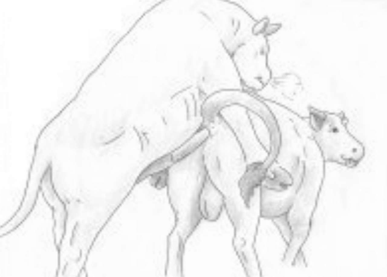 Predator and Prey CD page 12 full