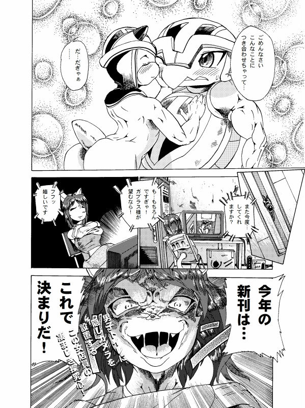ガブラスの薄い本 page 11 full