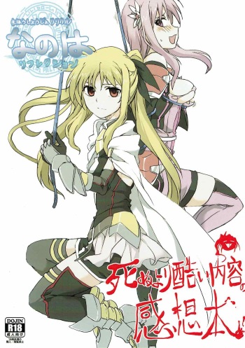 (C92) [STROLL IN THE WOODS !! (ELF)] Shinu yori Hidoi Naiyou no Kansoubon (Mahou Shoujo Lyrical Nanoha) cover
